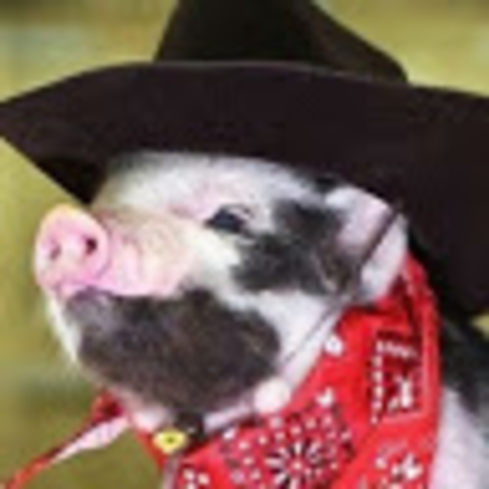 Meet your Posher, Adele